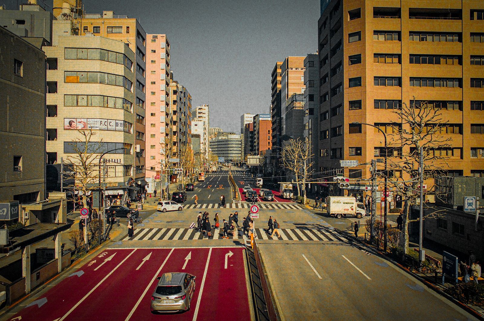 Avenue from the footbridge
