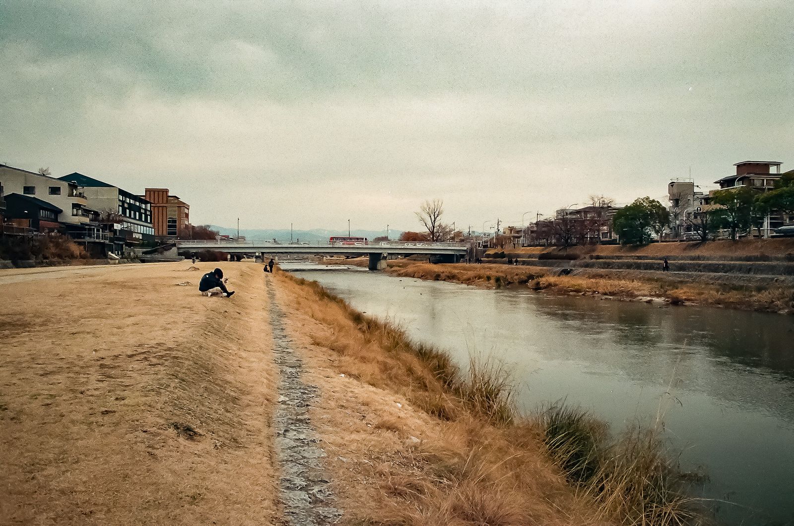 Riverbank in winter
