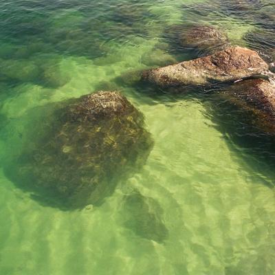 Rocks in clear green water