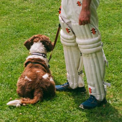 Cricketer and dog