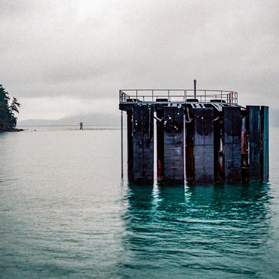 Pilings in still water