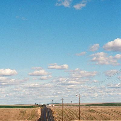 Road through wheat fields